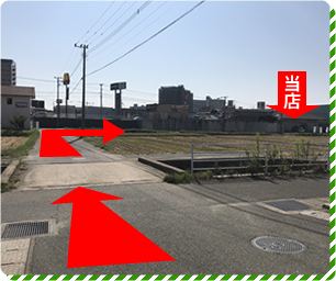 道順04 97号沿いのコスモス裏が当店
